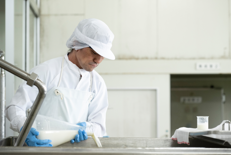 乳酸菌と凝乳酵素